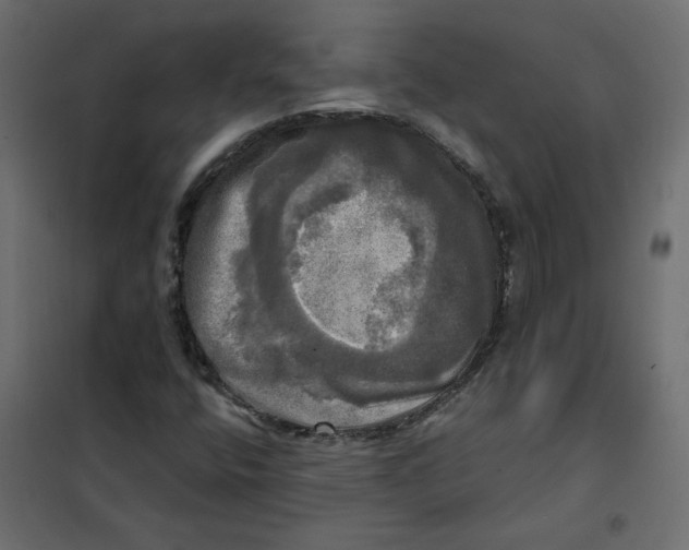 X0000102021400200808081737