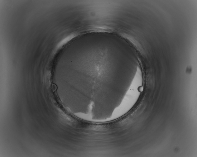 X0000102021402200808081737