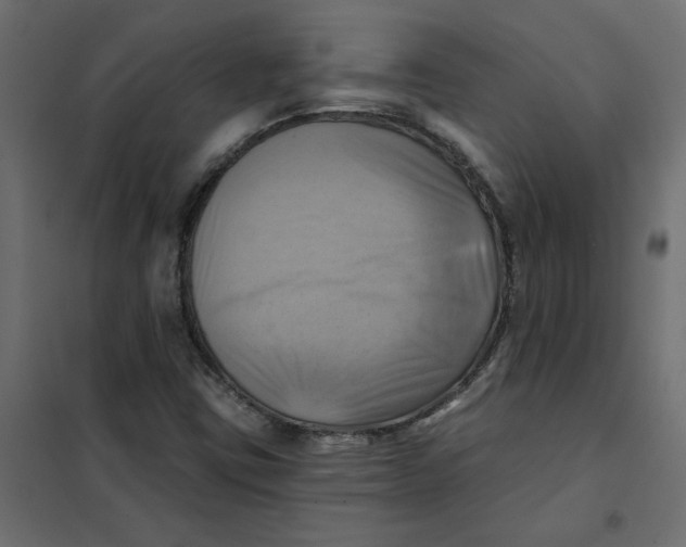 X0000102021403200808081737