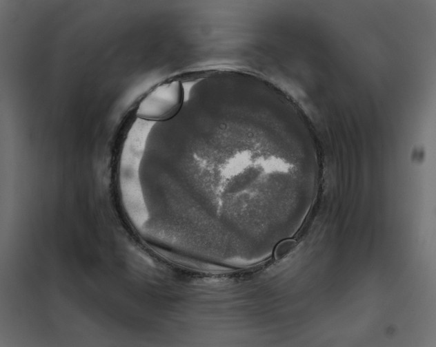 X0000102021406200808081737