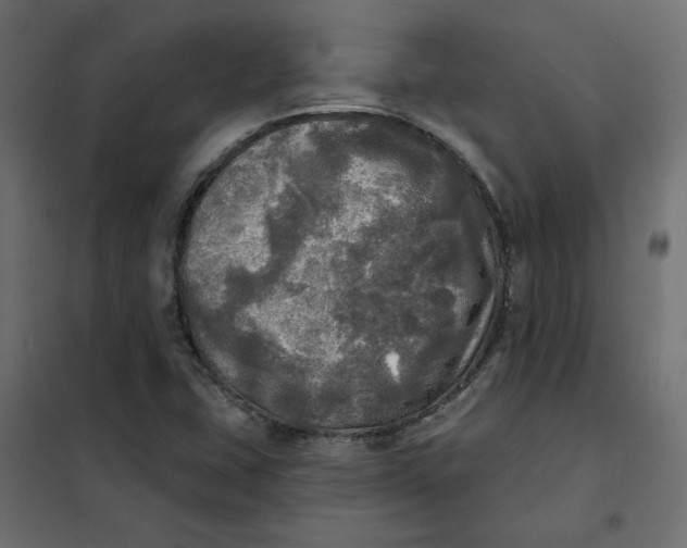 X0000102021407200808081737