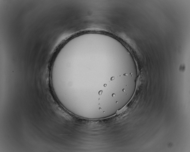 X0000102021408200808081737