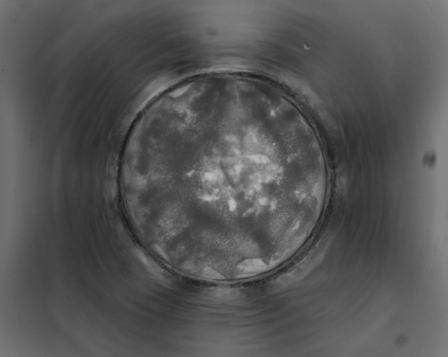 X0000102021409200808081737