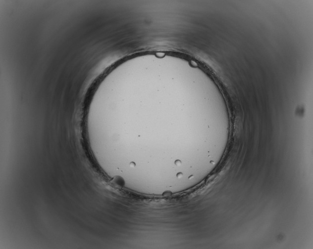 X0000102021410200808081737
