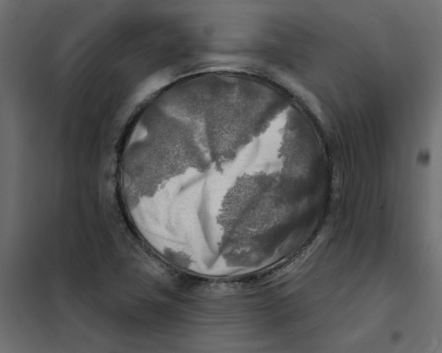 X0000102021411200808081737