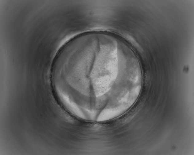 X0000102021412200808081737