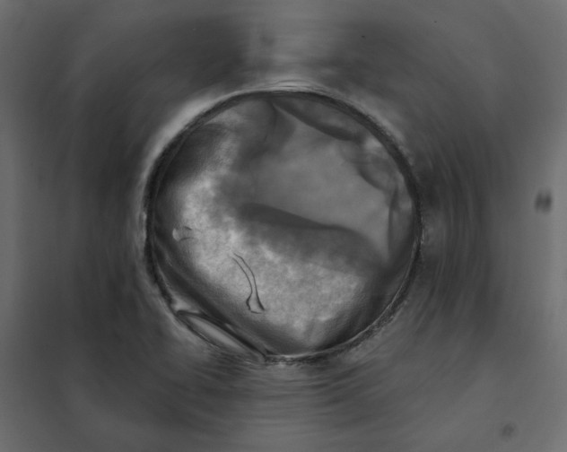 X0000102021414200808081737
