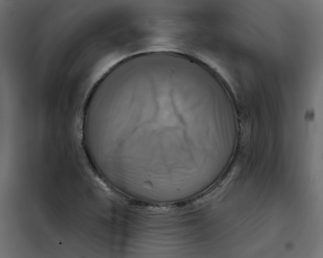 X0000102021415200808081737