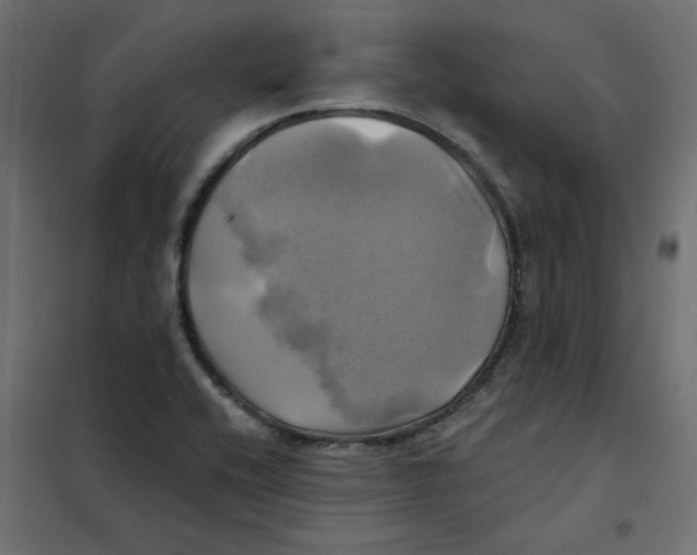 X0000102021416200808081737