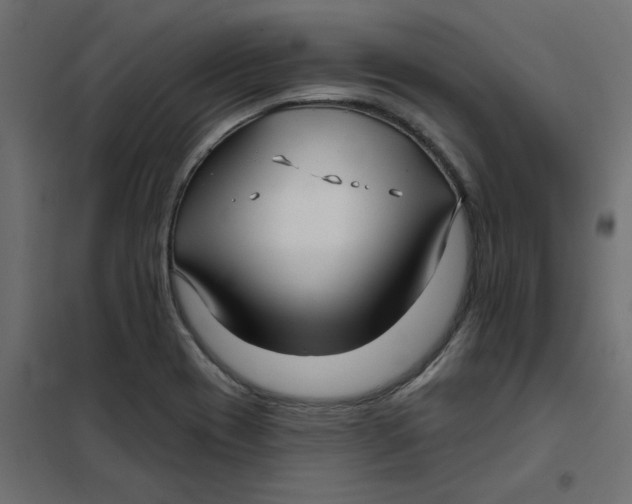X0000102021417200808081737
