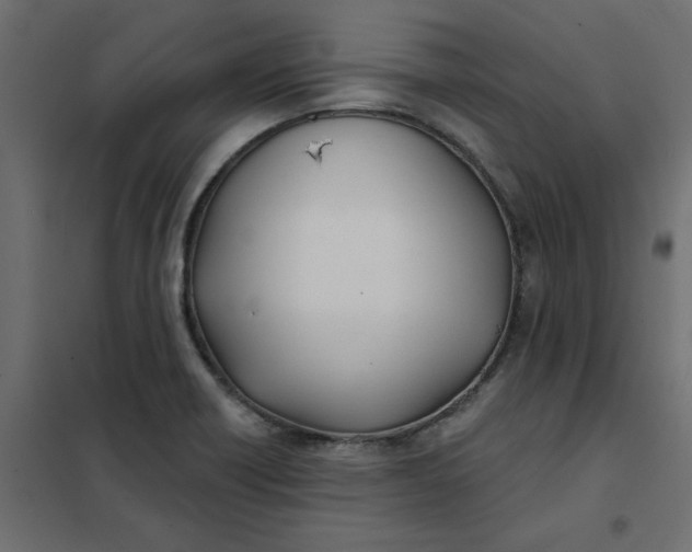 X0000102021418200808081737