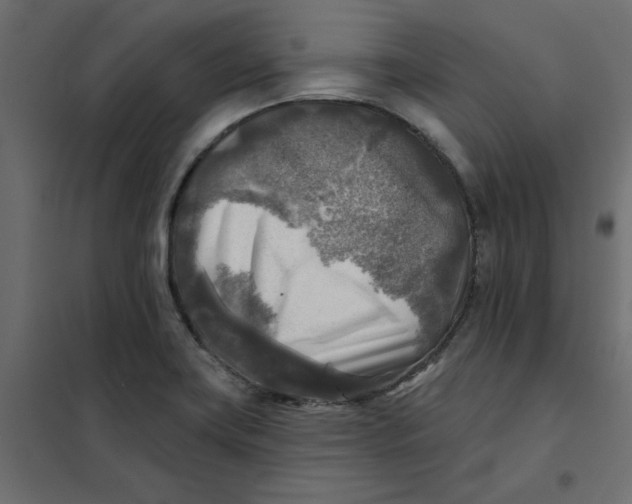 X0000102021419200808081737
