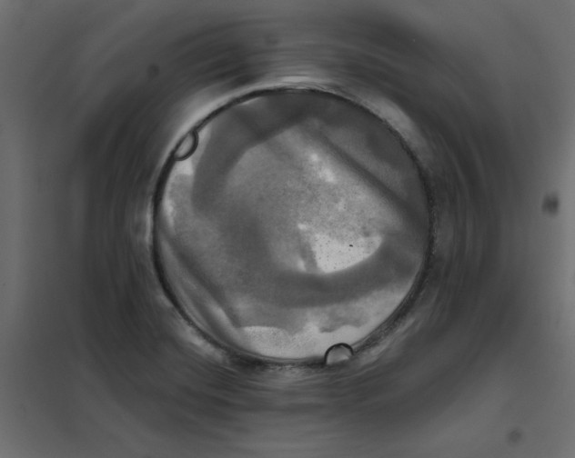 X0000102021420200808081737