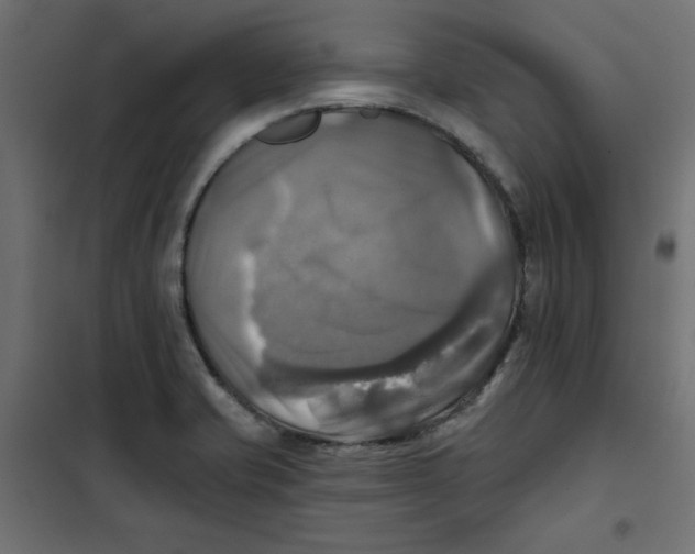 X0000102021421200808081737