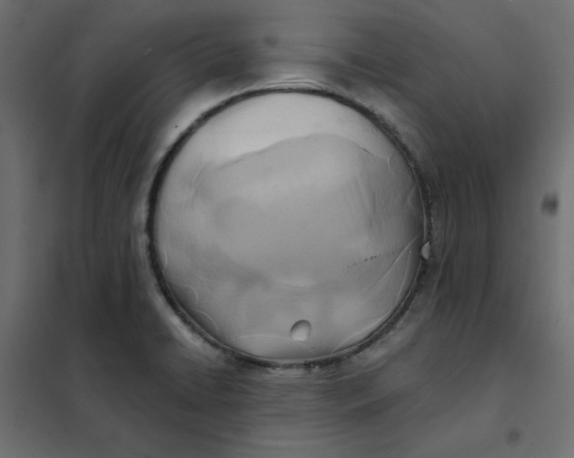 X0000102021422200808081737