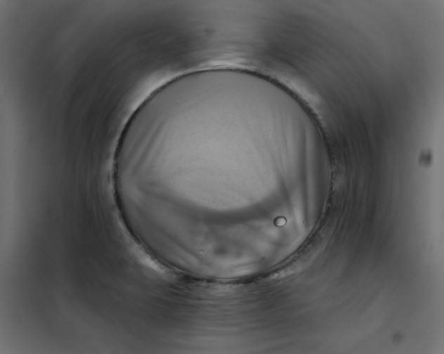 X0000102021423200808081737