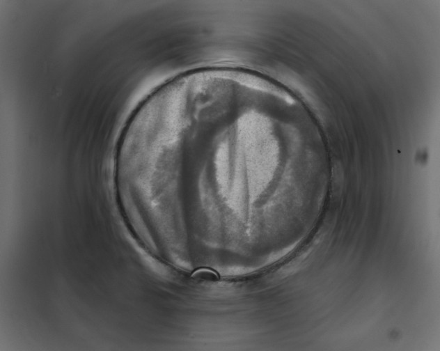 X0000102021424200808081737