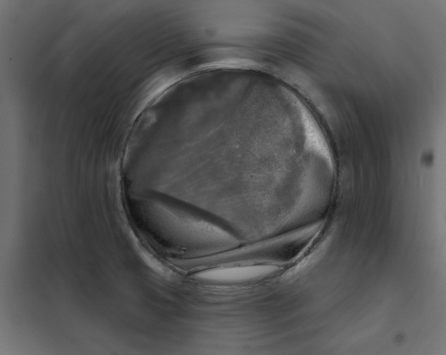 X0000102021425200808081737