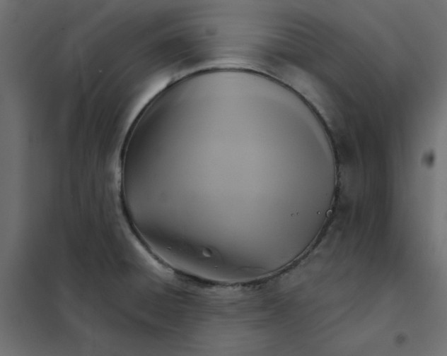 X0000102021428200808081737