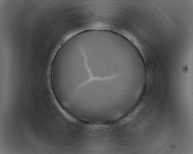 X0000102021429200808081738