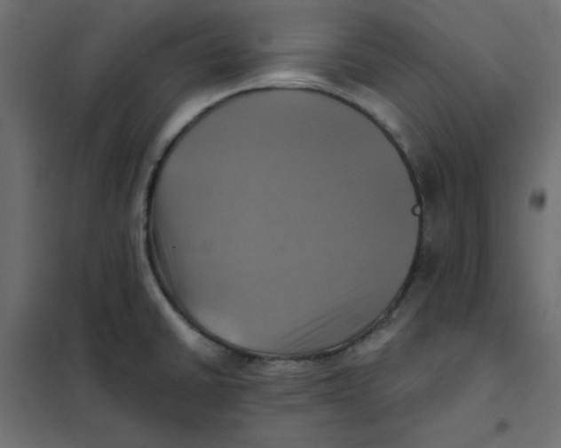 X0000102021430200808081738