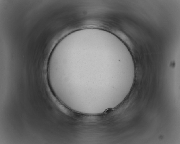 X0000102021431200808081738