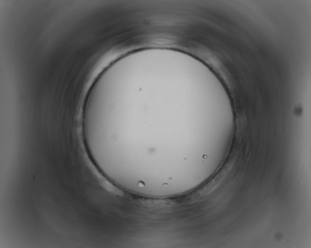 X0000102021432200808081738