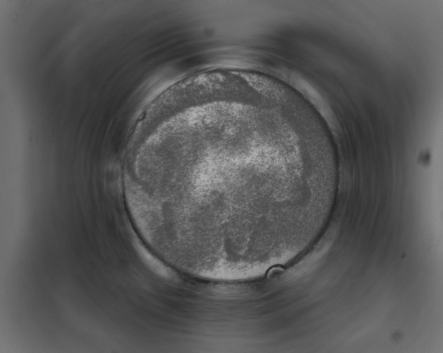 X0000102021433200808081738