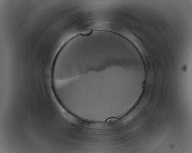 X0000102021434200808081738