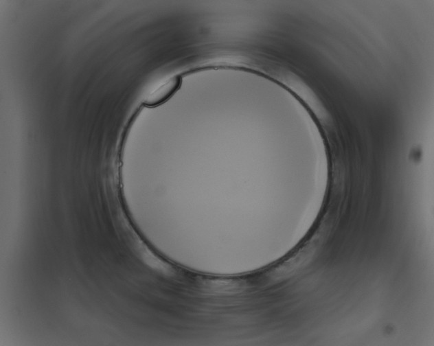 X0000102021436200808081738