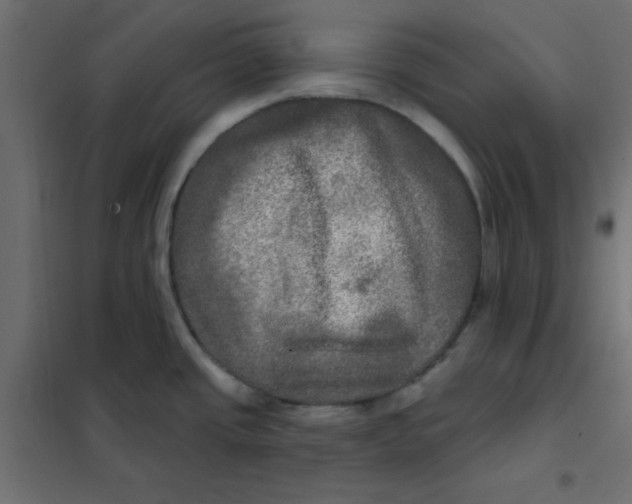X0000102021437200808081738