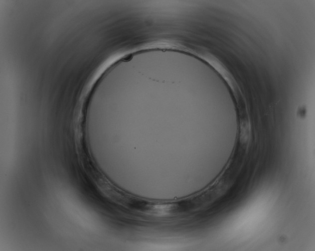 X0000102021438200808081738