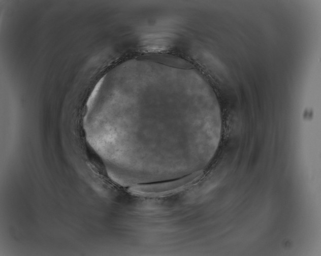 X0000102021441200808081737