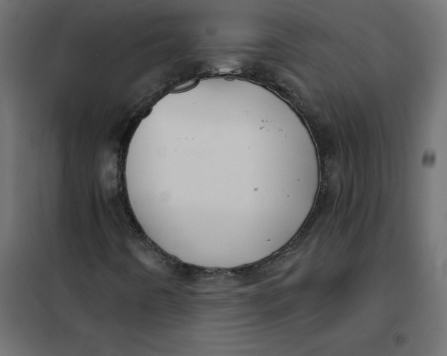 X0000102021442200808081737