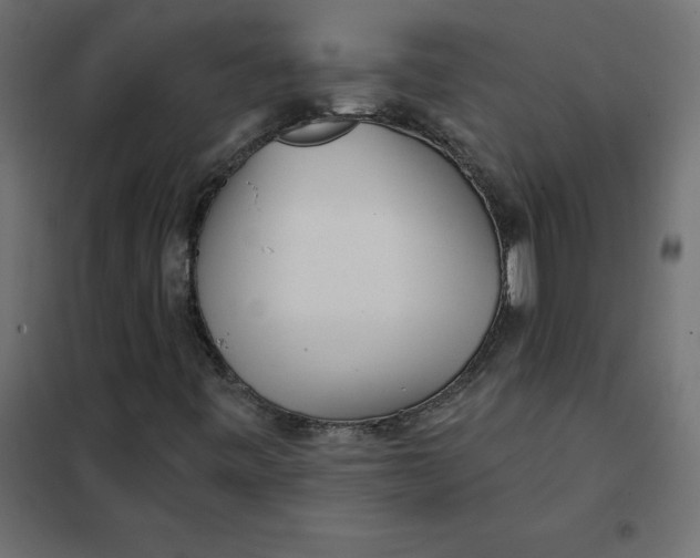 X0000102021443200808081737
