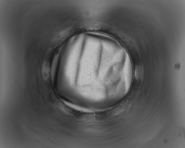 X0000102021444200808081737