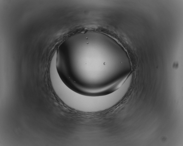 X0000102021445200808081737