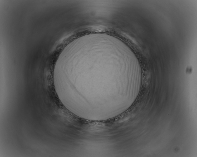 X0000102021446200808081737