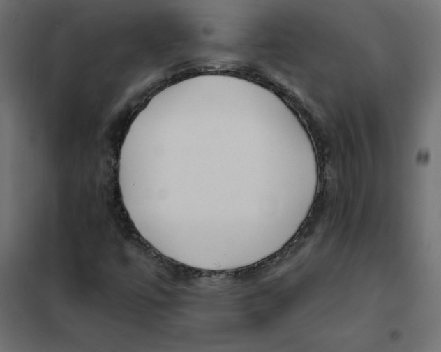 X0000102021447200808081737