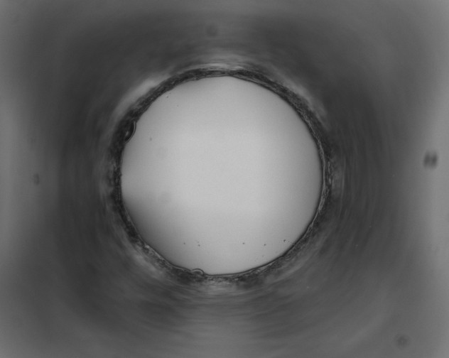 X0000102021448200808081737