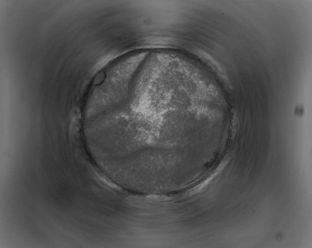 X0000102021449200808081737