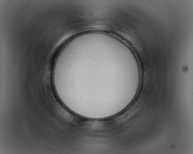 X0000102021450200808081737