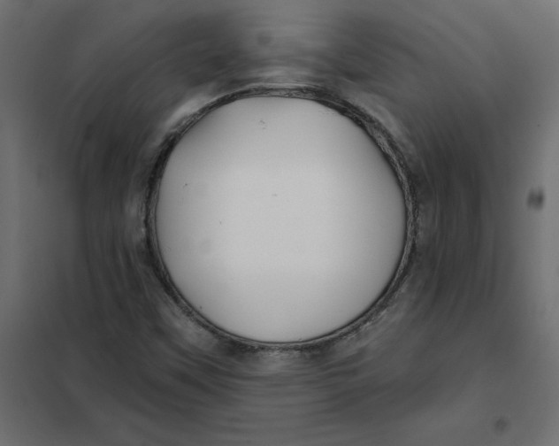X0000102021451200808081737