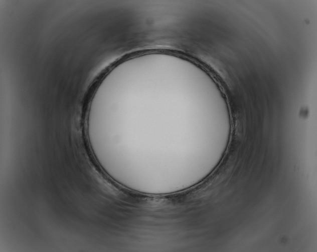 X0000102021452200808081737