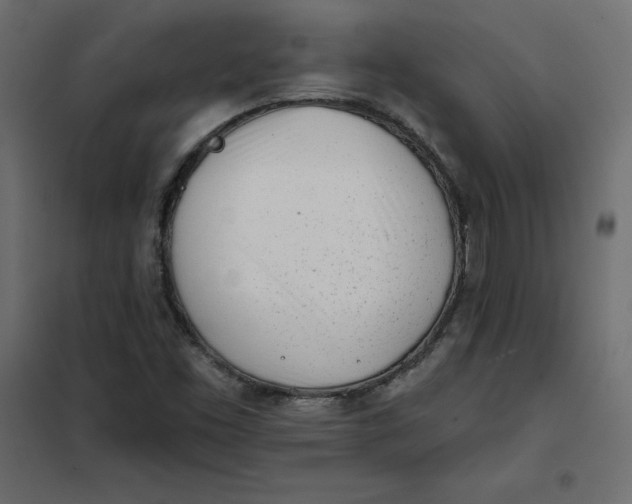 X0000102021453200808081737