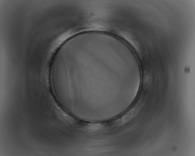 X0000102021455200808081737