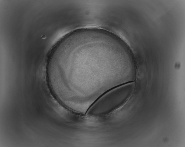 X0000102021456200808081737