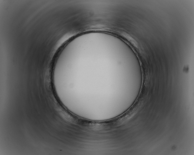 X0000102021458200808081737
