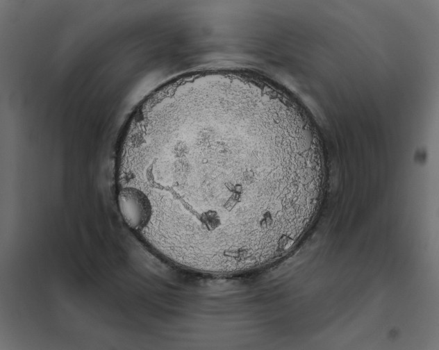 X0000102021459200808081737