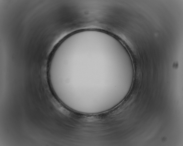 X0000102021460200808081737